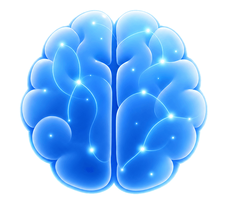 Brand Brain